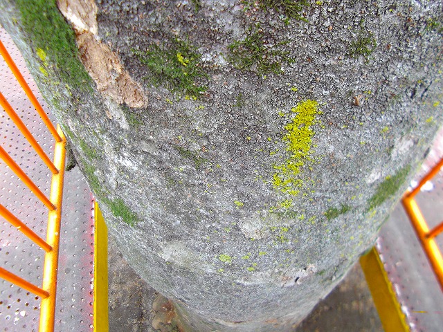 f:id:congiro:20120321155906j:image