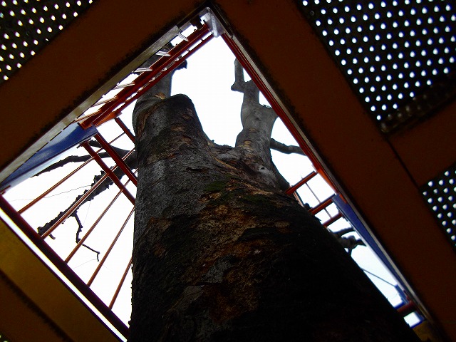 f:id:congiro:20120321155910j:image