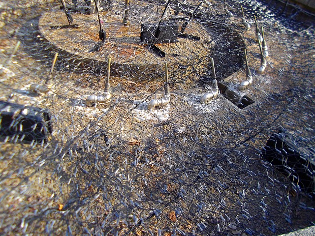f:id:congiro:20120321165857j:image