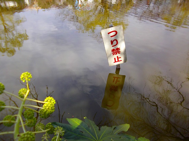 f:id:congiro:20120325232001j:image