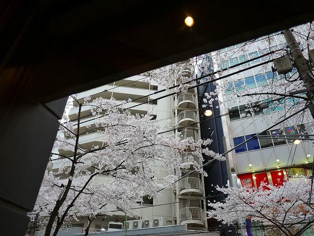 f:id:congiro:20120408202332j:image