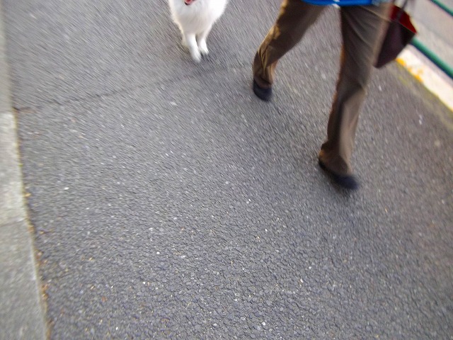 f:id:congiro:20120409001933j:image