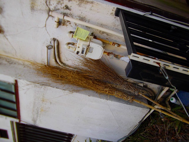 f:id:congiro:20120409001936j:image