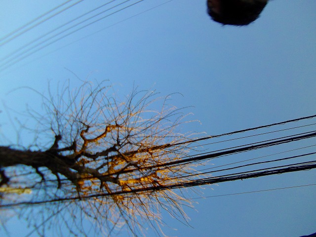 f:id:congiro:20120409001940j:image
