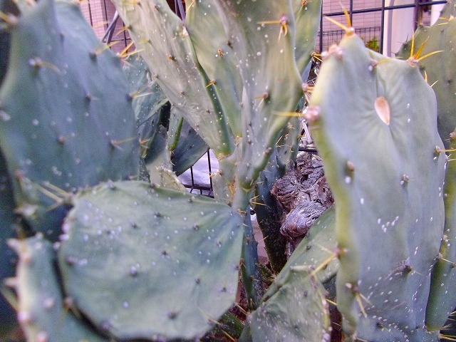 f:id:congiro:20120409001949j:image