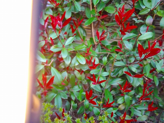 f:id:congiro:20120409001955j:image