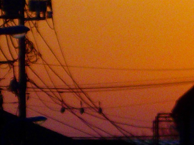 f:id:congiro:20120409001956j:image