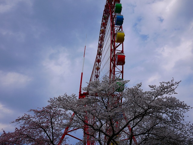f:id:congiro:20120410000542j:image