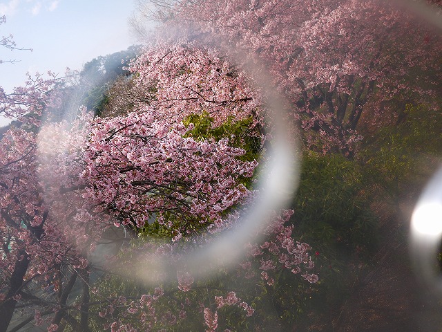 f:id:congiro:20120410000545j:image