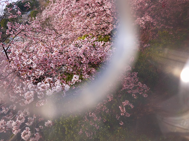 f:id:congiro:20120410000546j:image