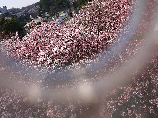 f:id:congiro:20120410000547j:image