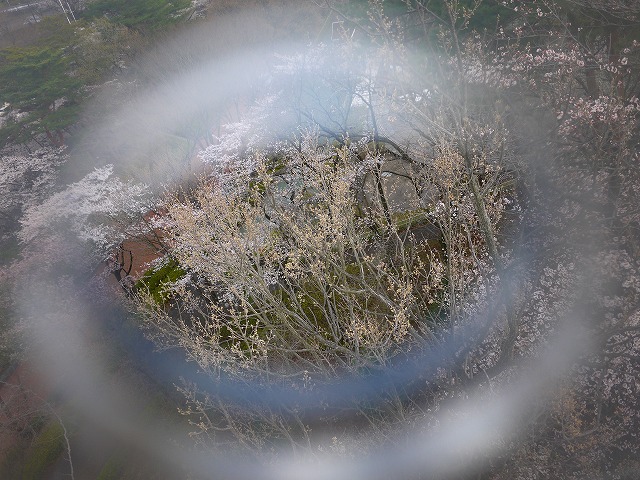 f:id:congiro:20120410000554j:image
