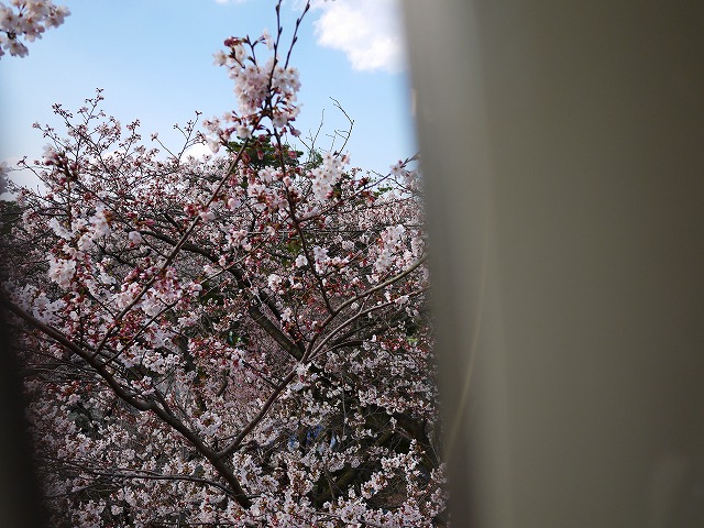 f:id:congiro:20120410000556j:image