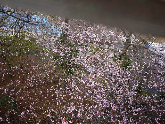 f:id:congiro:20120410000557j:image
