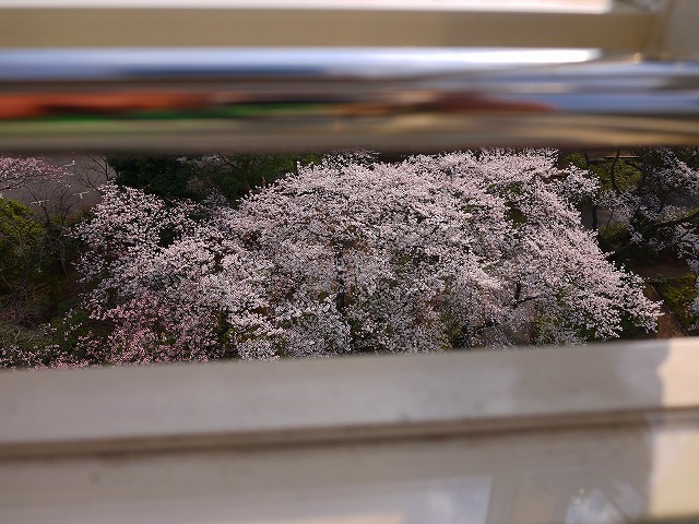 f:id:congiro:20120410000602j:image