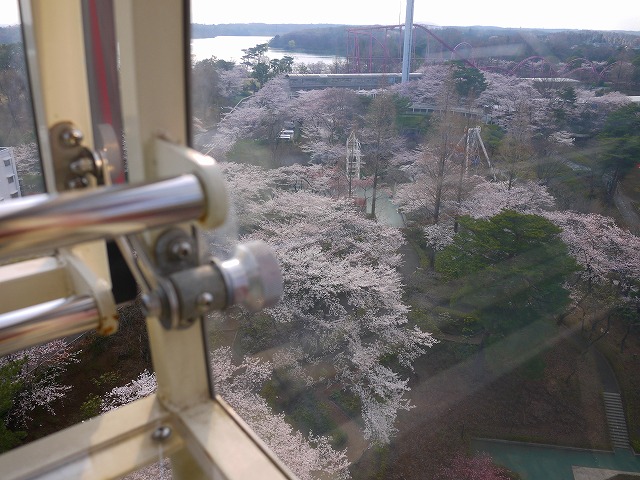 f:id:congiro:20120410000604j:image