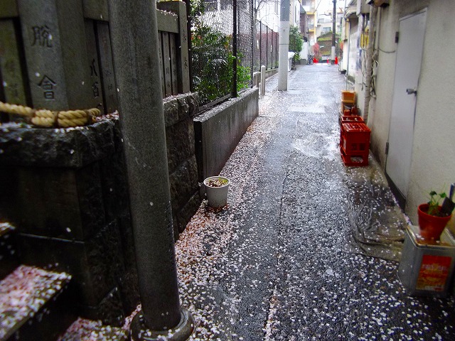 f:id:congiro:20120415234312j:image
