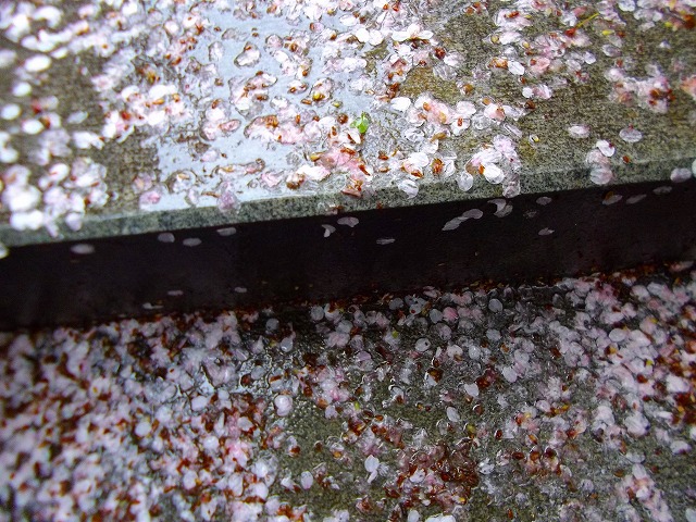 f:id:congiro:20120415234313j:image