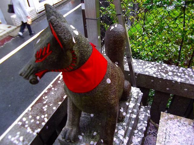 f:id:congiro:20120415234315j:image