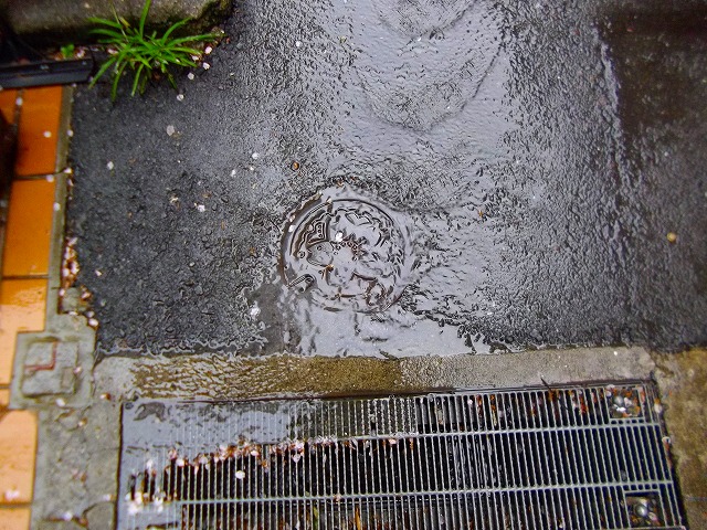 f:id:congiro:20120415234320j:image
