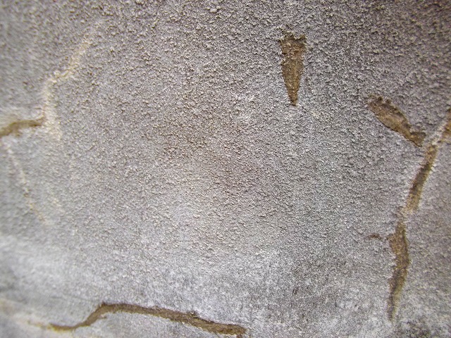 f:id:congiro:20120415234321j:image