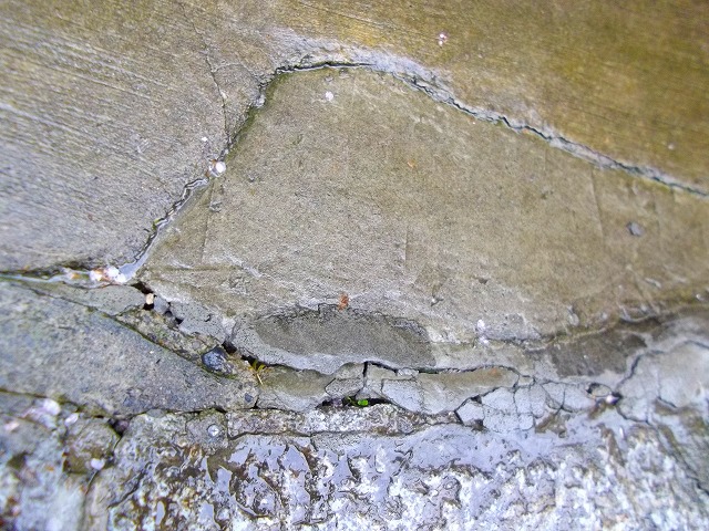 f:id:congiro:20120415234323j:image