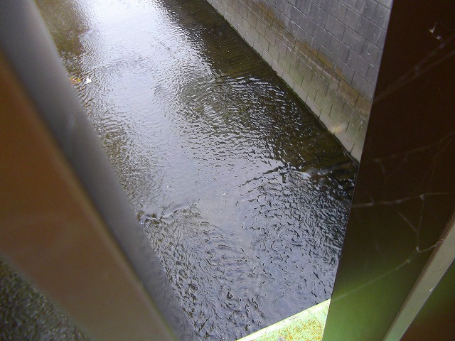 f:id:congiro:20120415234334j:image