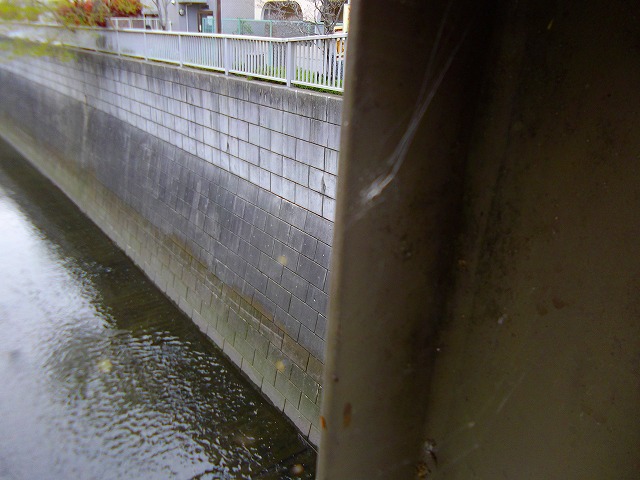 f:id:congiro:20120415234335j:image