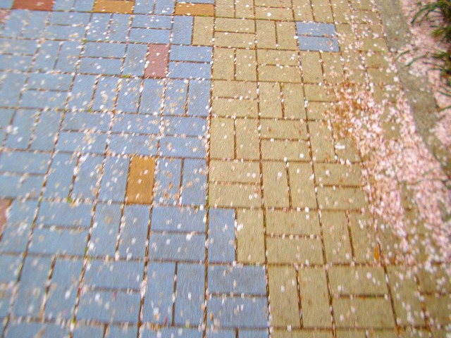 f:id:congiro:20120415234337j:image