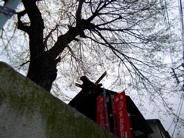 f:id:congiro:20120423003314j:image