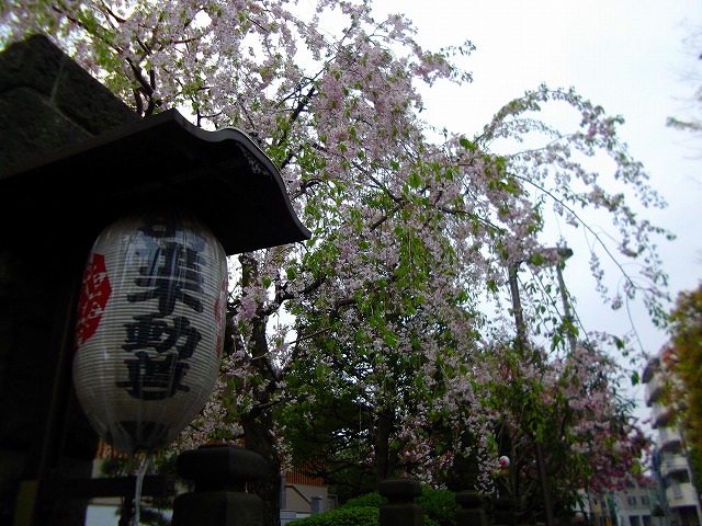 f:id:congiro:20120423003320j:image