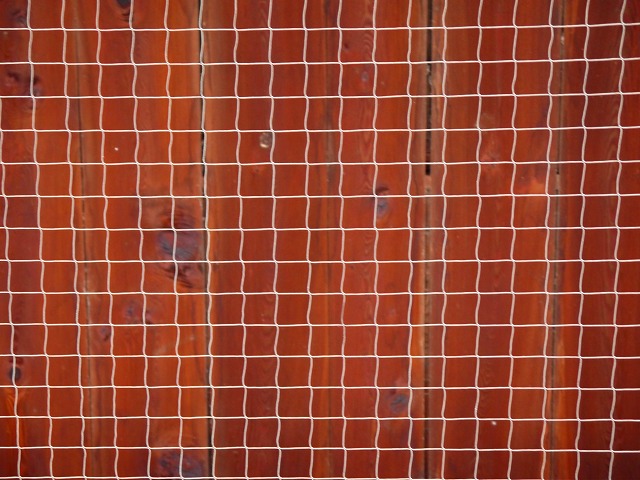 f:id:congiro:20120501224837j:image