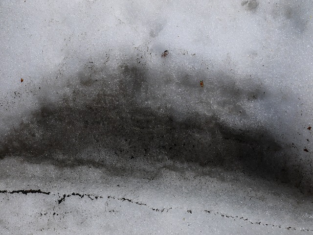 f:id:congiro:20120501224849j:image