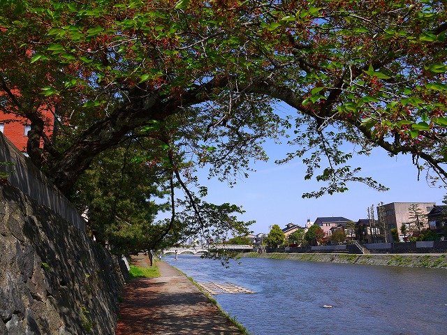 f:id:congiro:20120501224902j:image