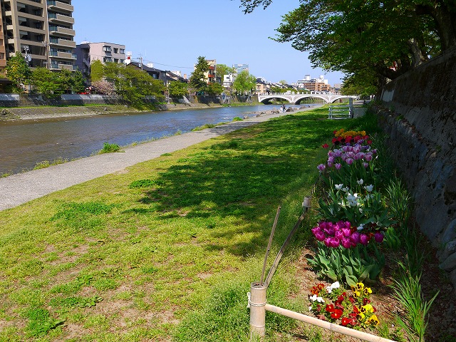 f:id:congiro:20120501224904j:image