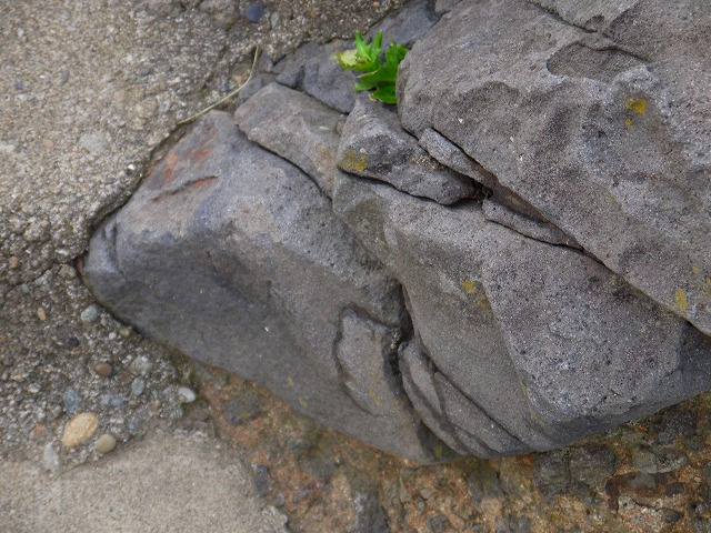 f:id:congiro:20120501224918j:image