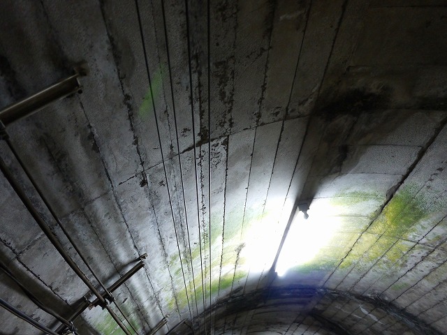 f:id:congiro:20120501224920j:image