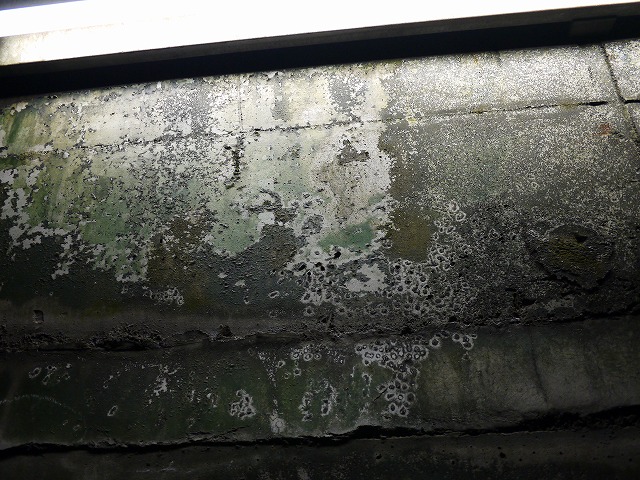 f:id:congiro:20120501224924j:image