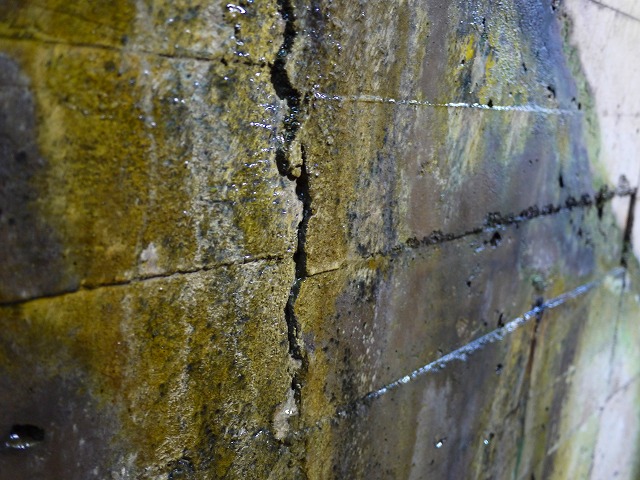 f:id:congiro:20120501224929j:image