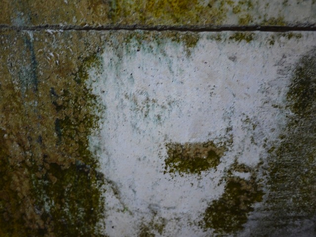 f:id:congiro:20120501224931j:image