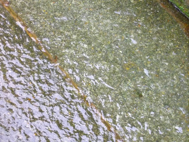 f:id:congiro:20120624235744j:image