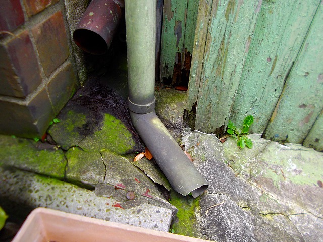 f:id:congiro:20120624235746j:image