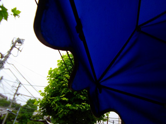 f:id:congiro:20120624235750j:image