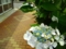 20120624235752