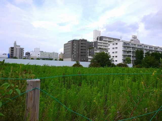f:id:congiro:20120812105312j:image f:id:congiro:20120812105312j:image