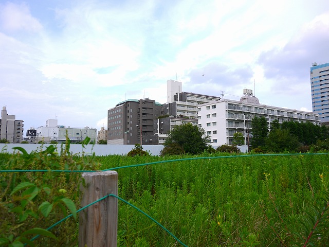 f:id:congiro:20120812105314j:image f:id:congiro:20120812105314j:image