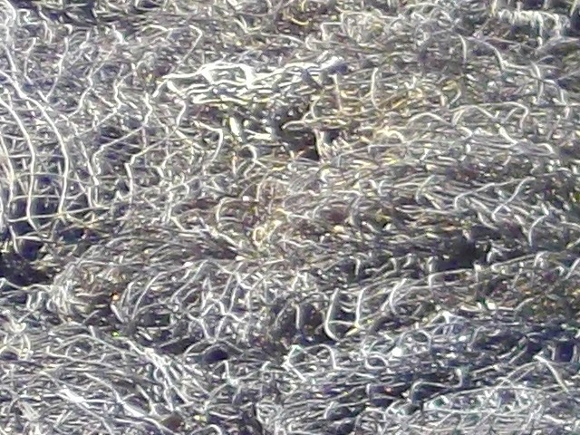 f:id:congiro:20120829180518j:image