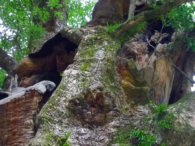 f:id:congiro:20120831233036j:image