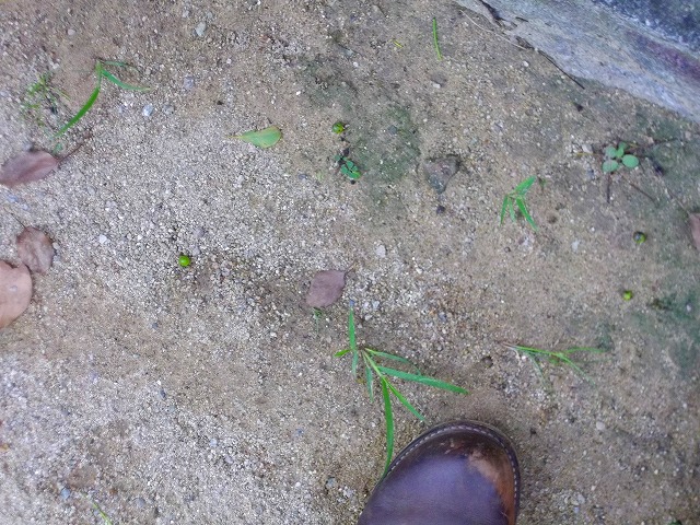 f:id:congiro:20120831233037j:image