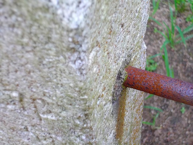 f:id:congiro:20120831233039j:image